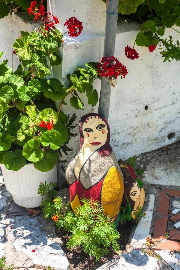 فيلا Nakou House فراخوس المظهر الخارجي الصورة