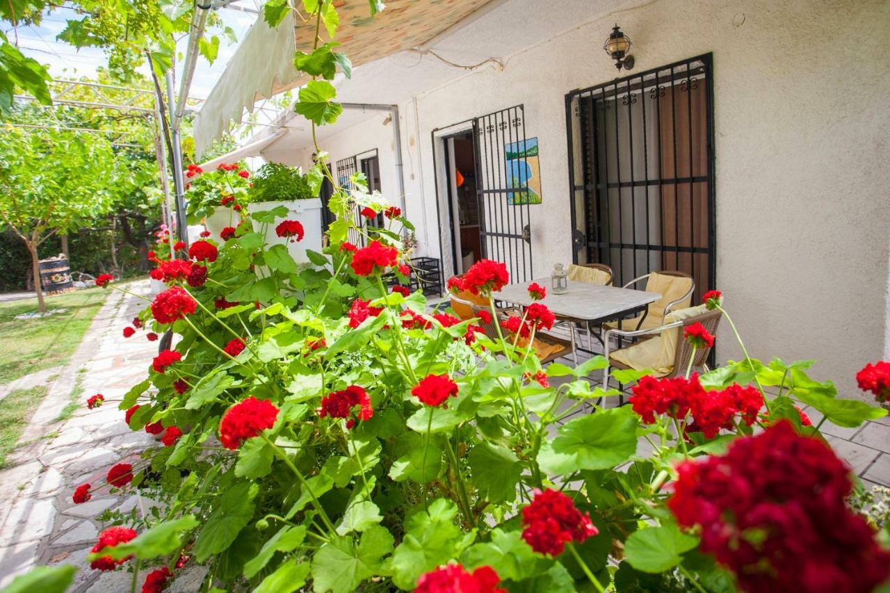 فيلا Nakou House فراخوس المظهر الخارجي الصورة